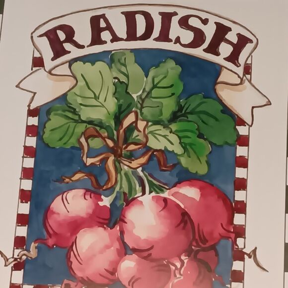 VTG Barbara Mock Radish Print Matted And Framed Green Red Black & White Checks - Picture 5 of 13